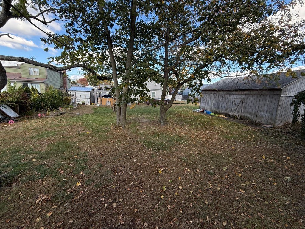 Picture 14