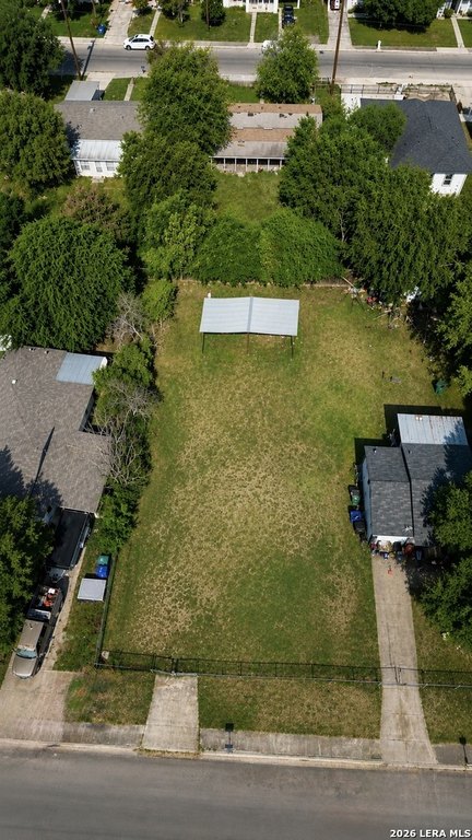Picture 5
