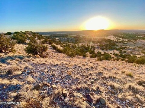 LAND - Concho, AZ