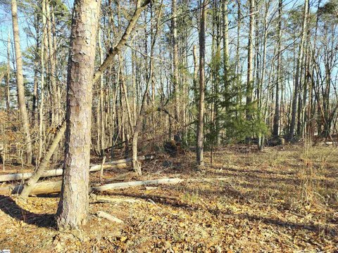 Lots/Land, Westminster, SC