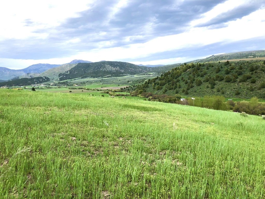 Picture 10