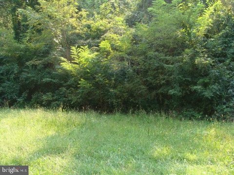 One Acre Wooded Building Site