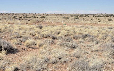 Snowflake Land with Septic System