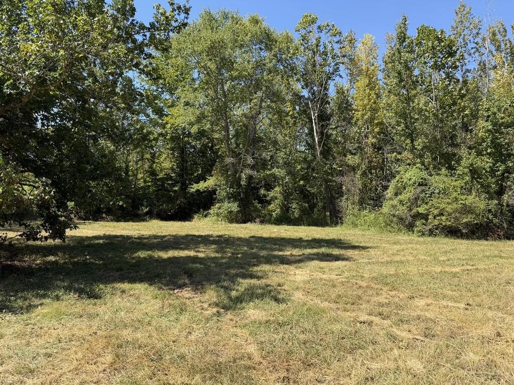 Picture 11