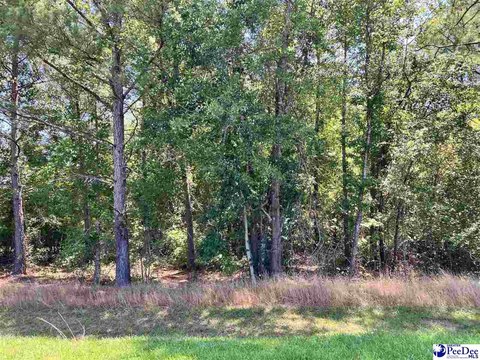 LAND - Chesterfield, SC