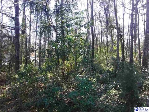 LAND - Chesterfield, SC
