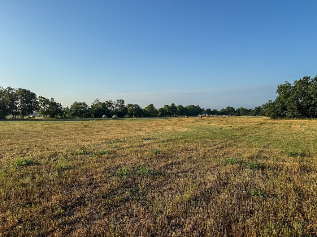 Picture 19