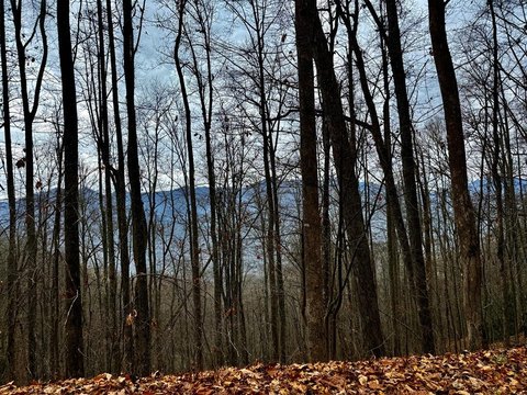Whittier, NC Mountain View Land