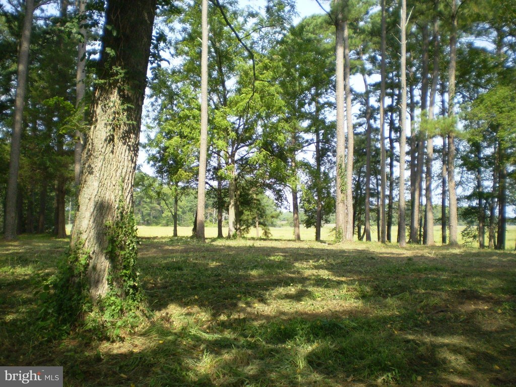 Picture 18