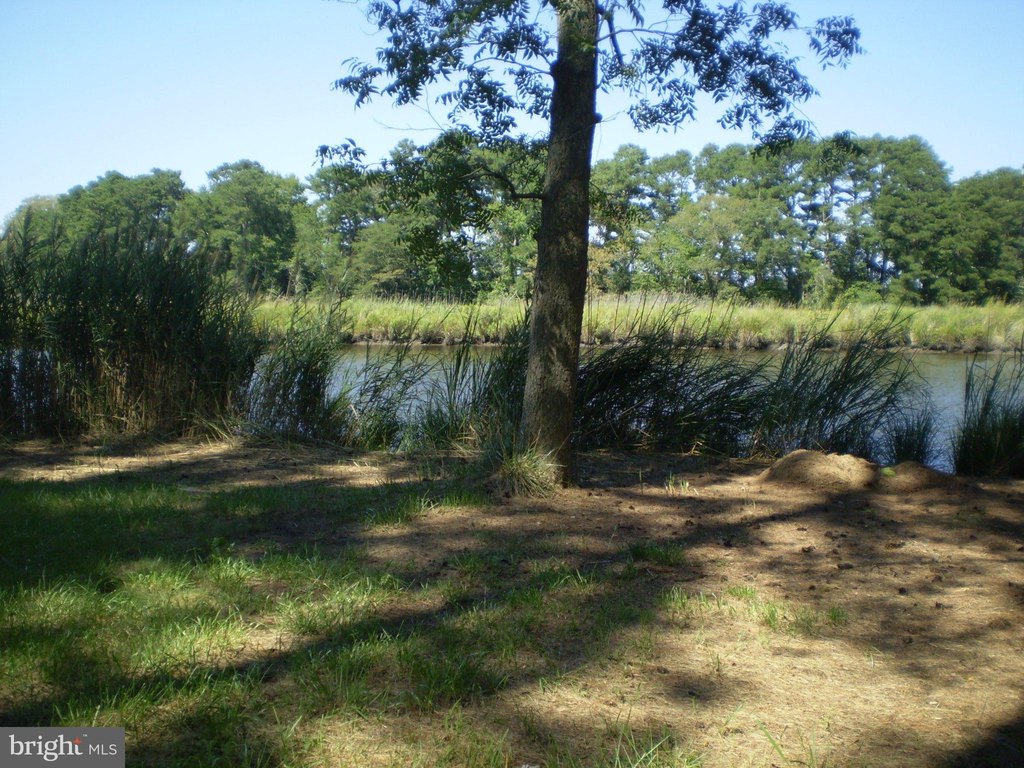Picture 5