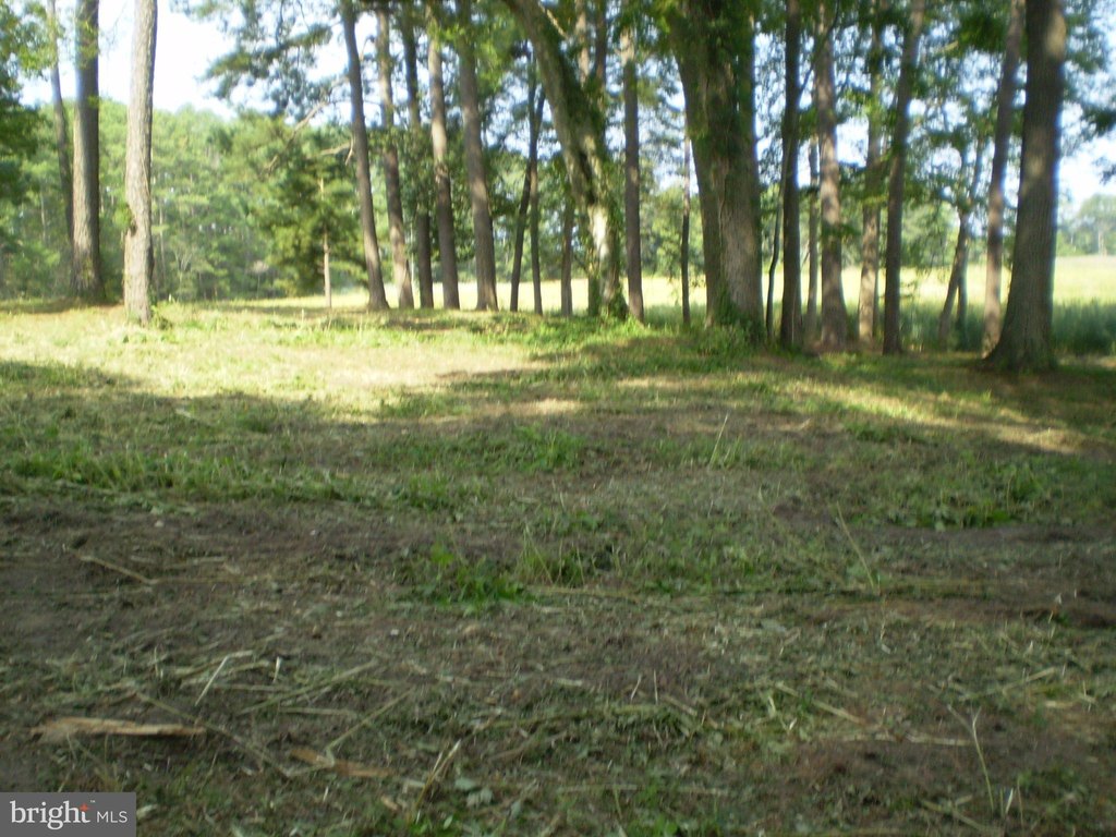 Picture 17