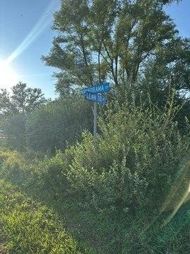 Land, Panora, IA