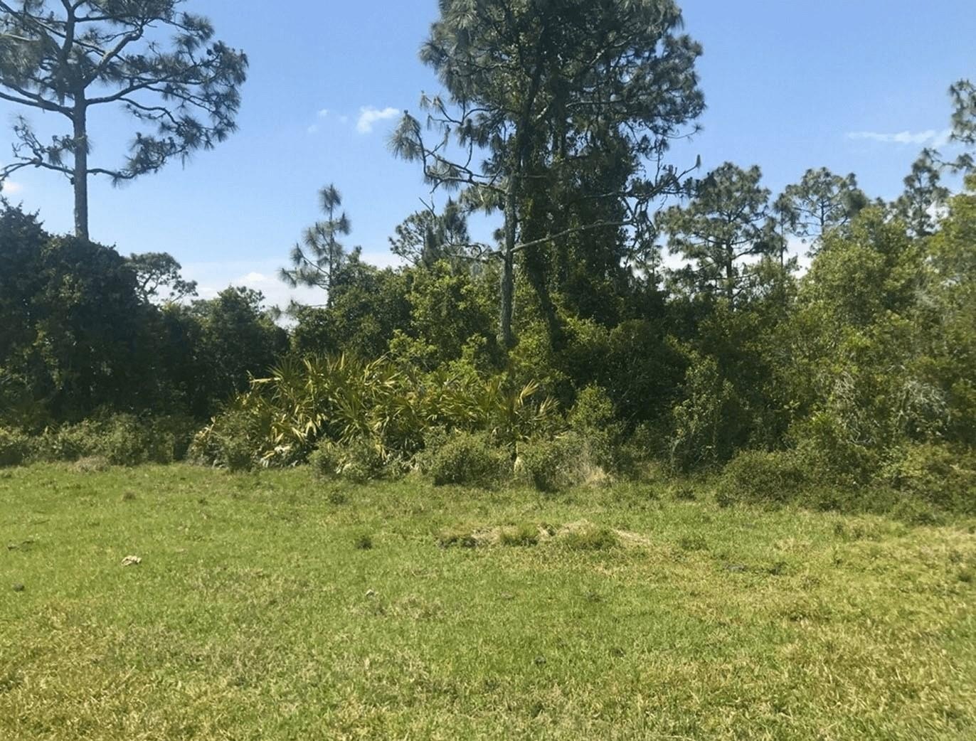 Recreational Land Near St. Cloud