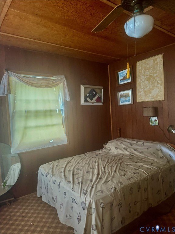 Picture 7