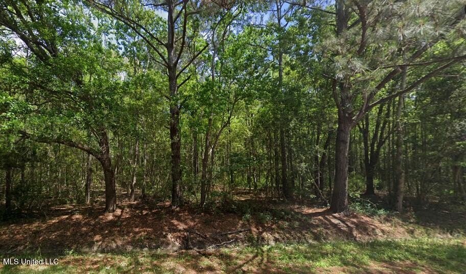 Wooded Lots in Bay Saint Louis