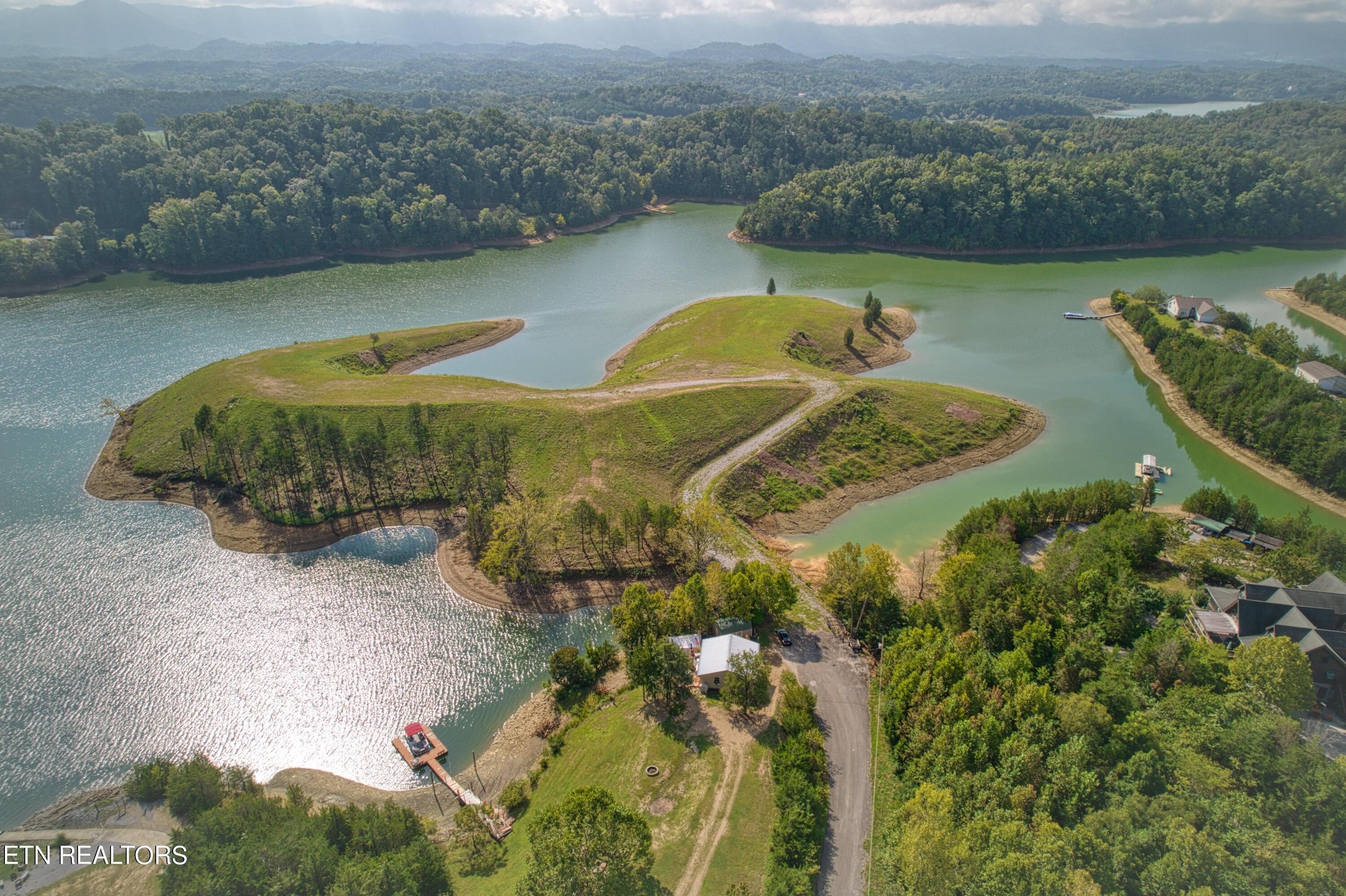 Douglas Lake Island Opportunity