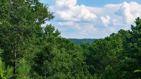 Land, Talking Rock, GA