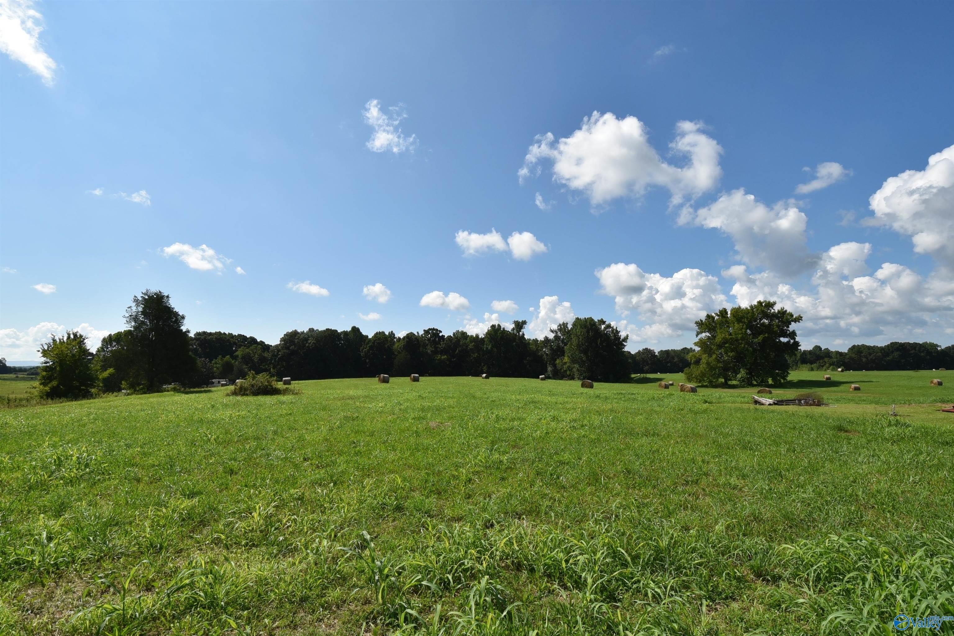 Pasture Land Near Alabama Border