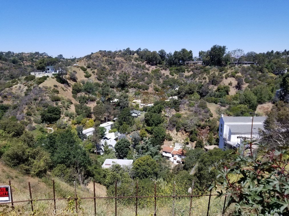 Picture 4