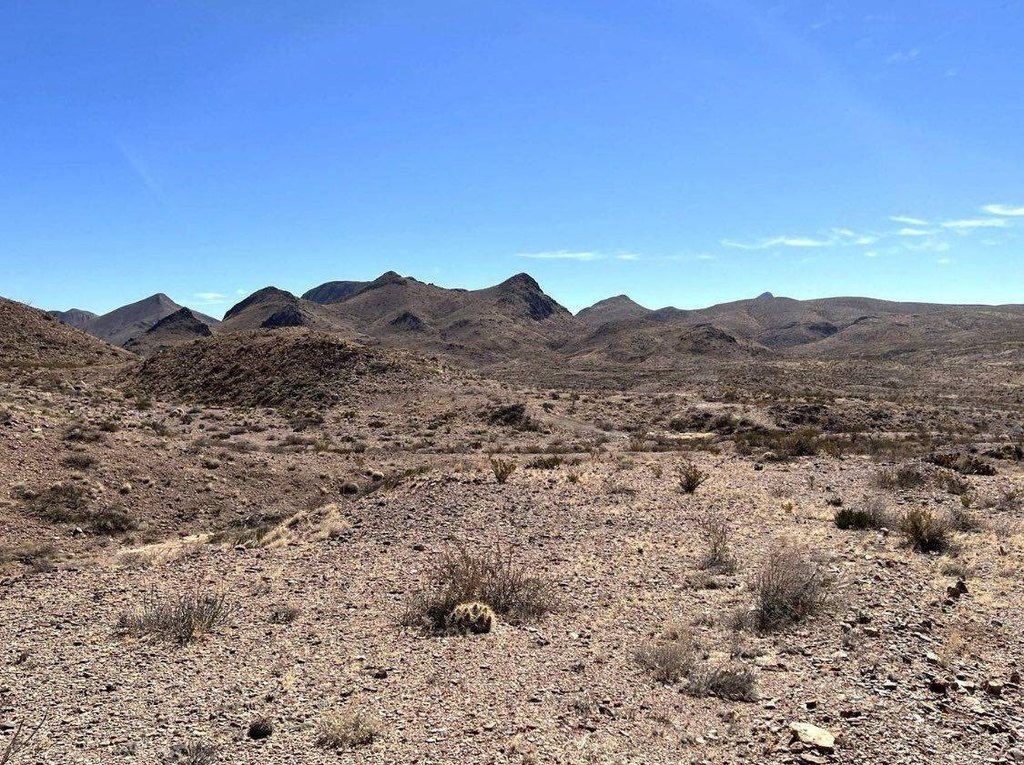 Picture 15