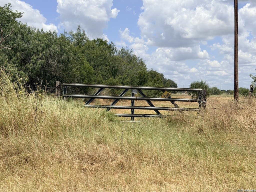 Picture 16