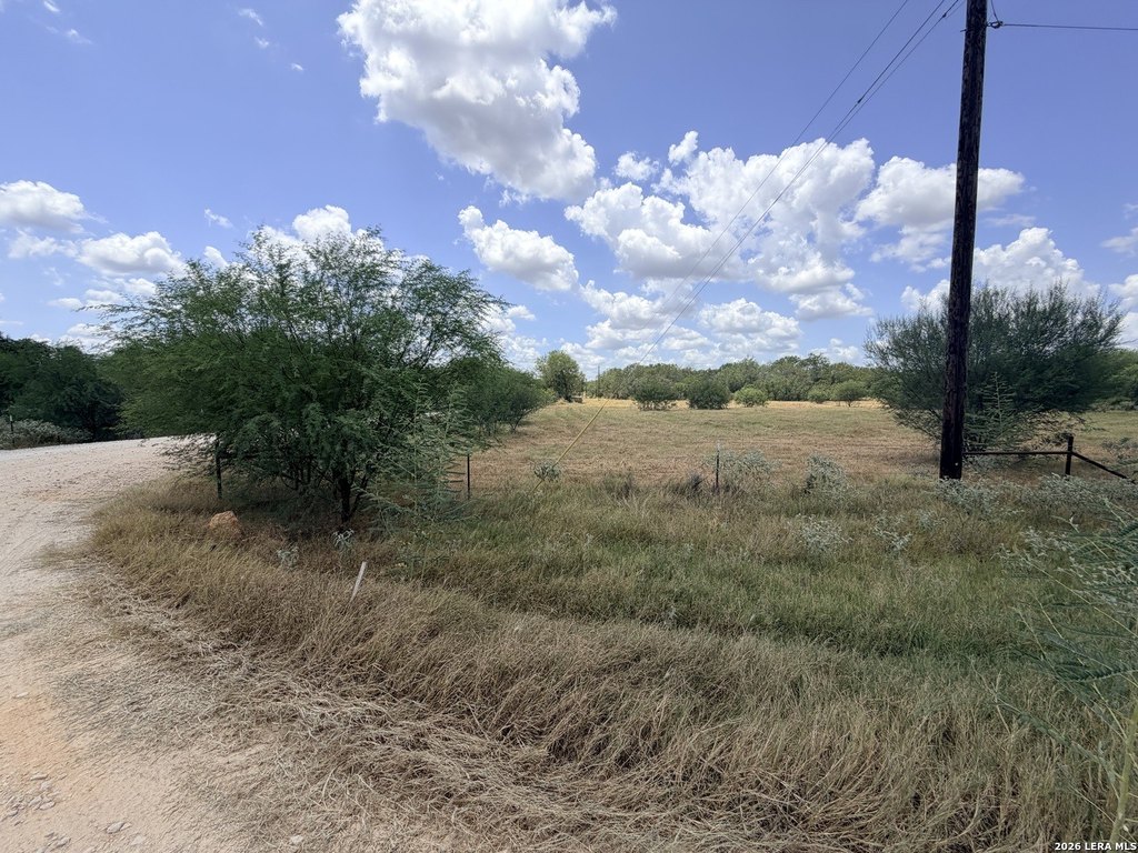 Picture 17