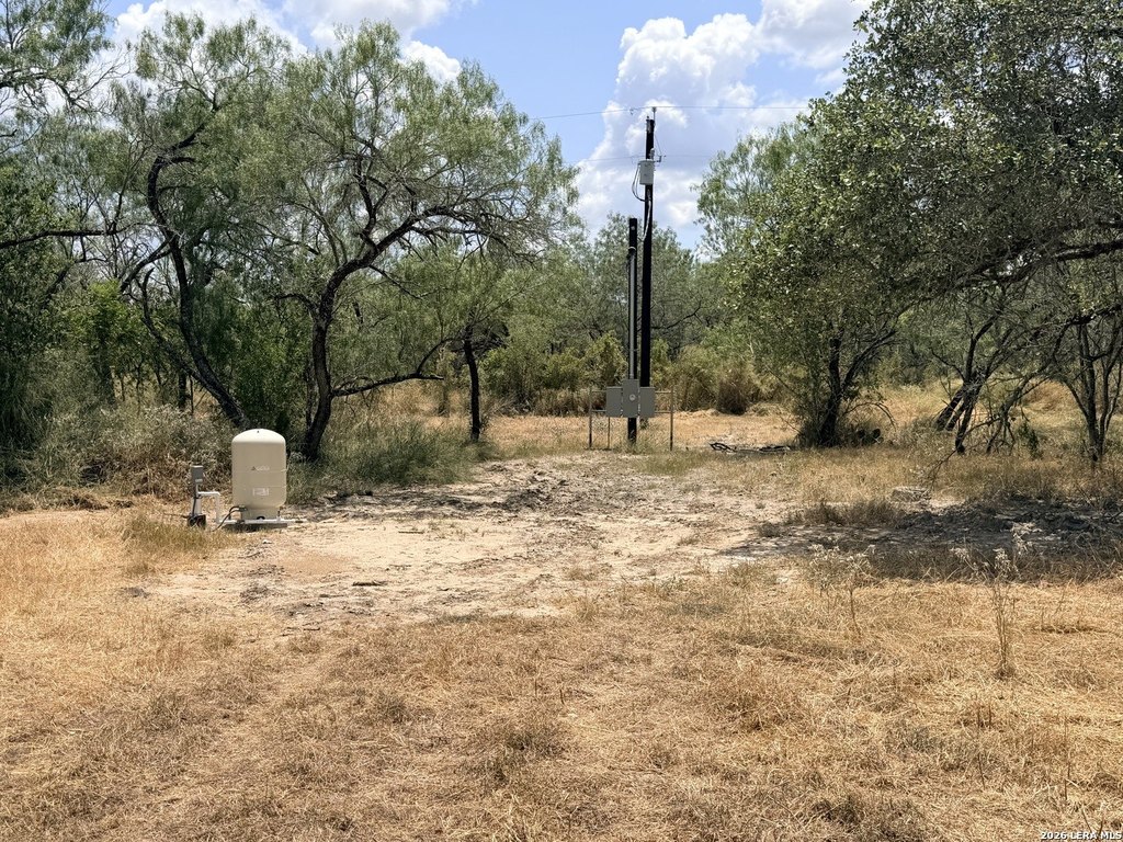 Picture 19