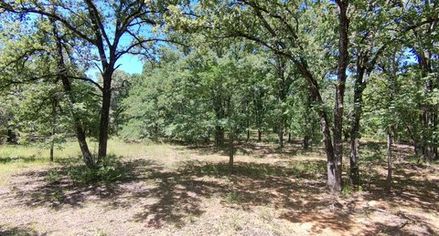 Heavily Wooded Residential Acreage