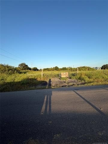 Picture 3
