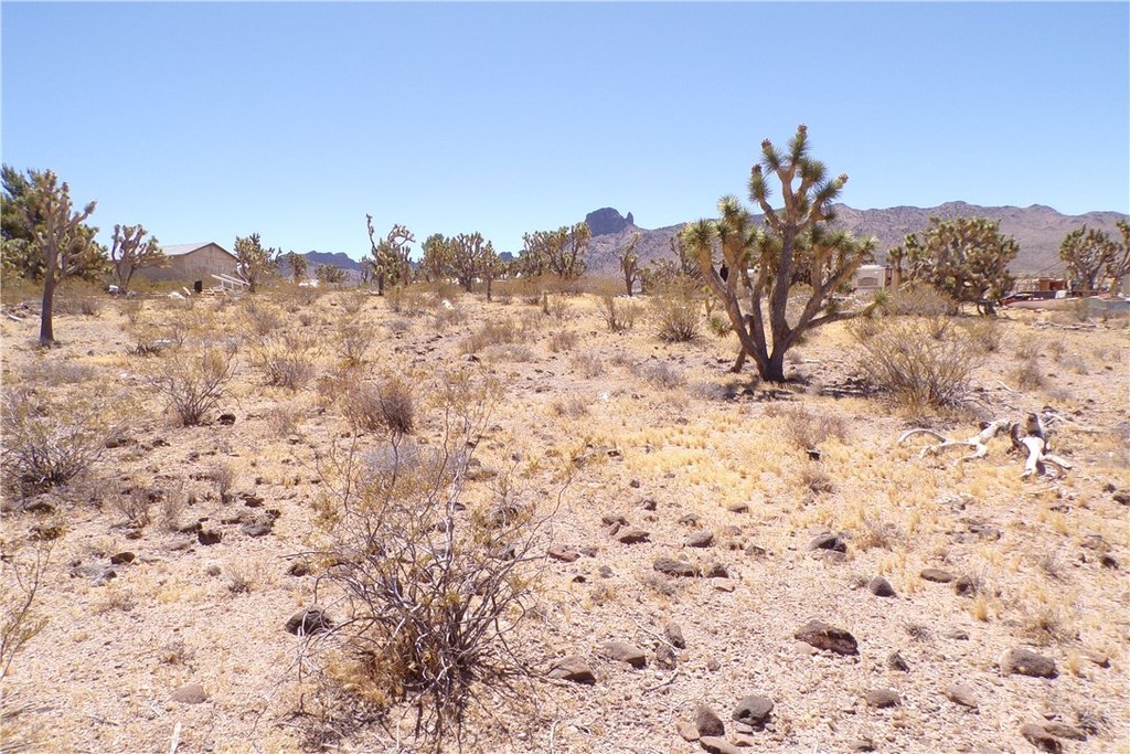 Picture 14