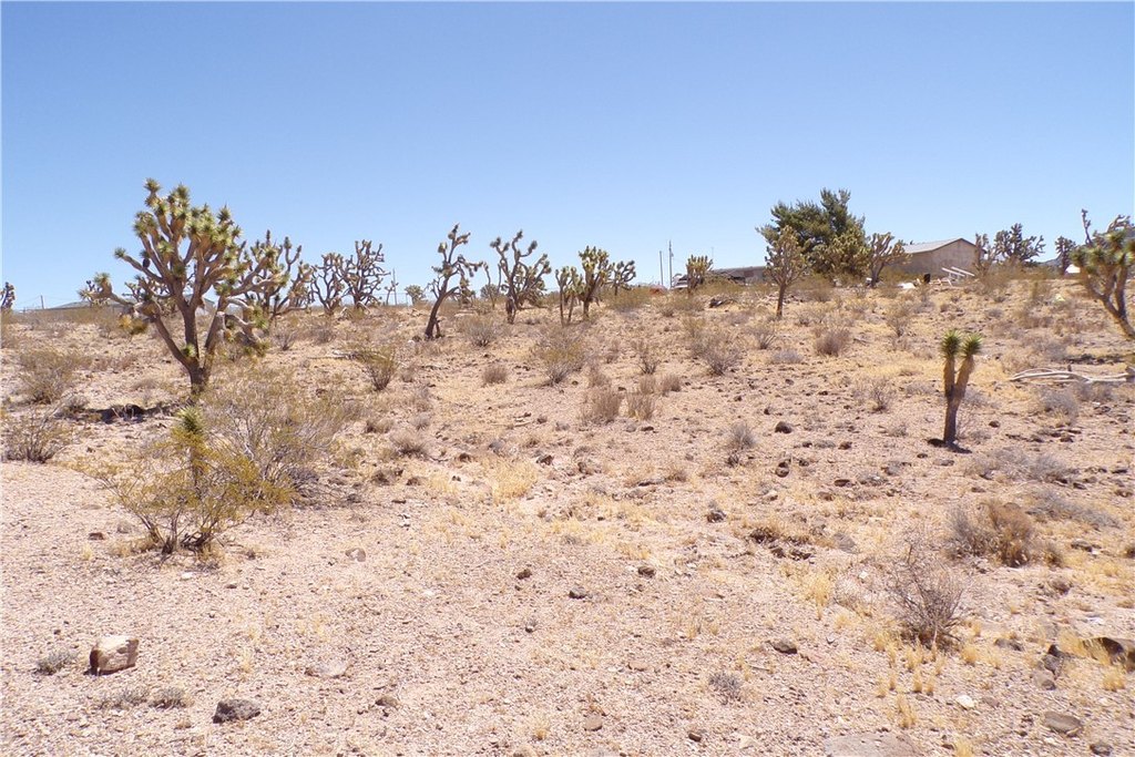 Picture 12