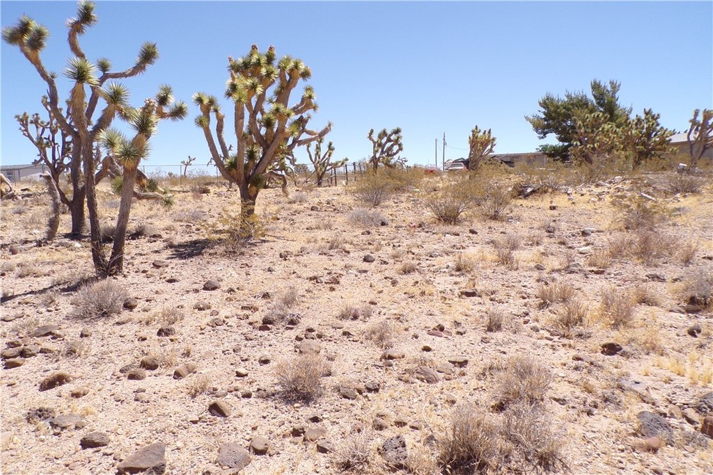 Picture 18