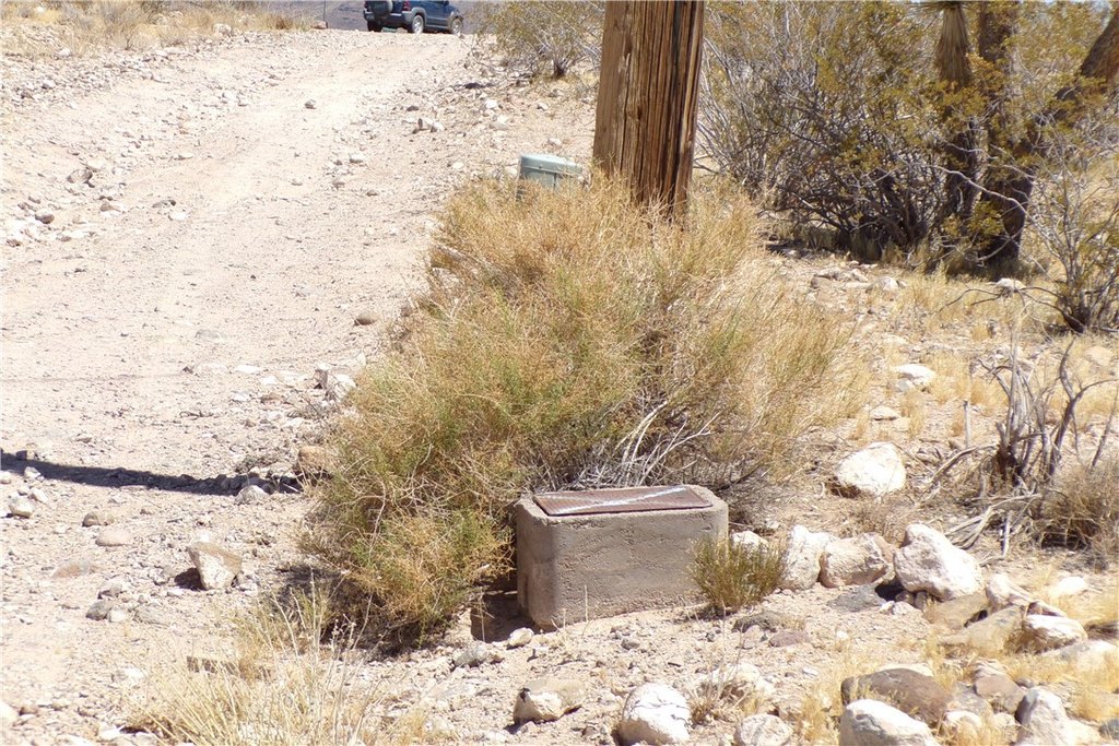 Picture 23