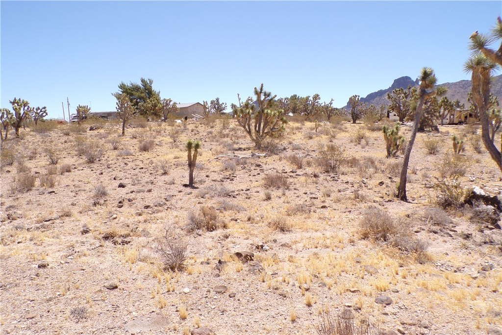 Picture 11