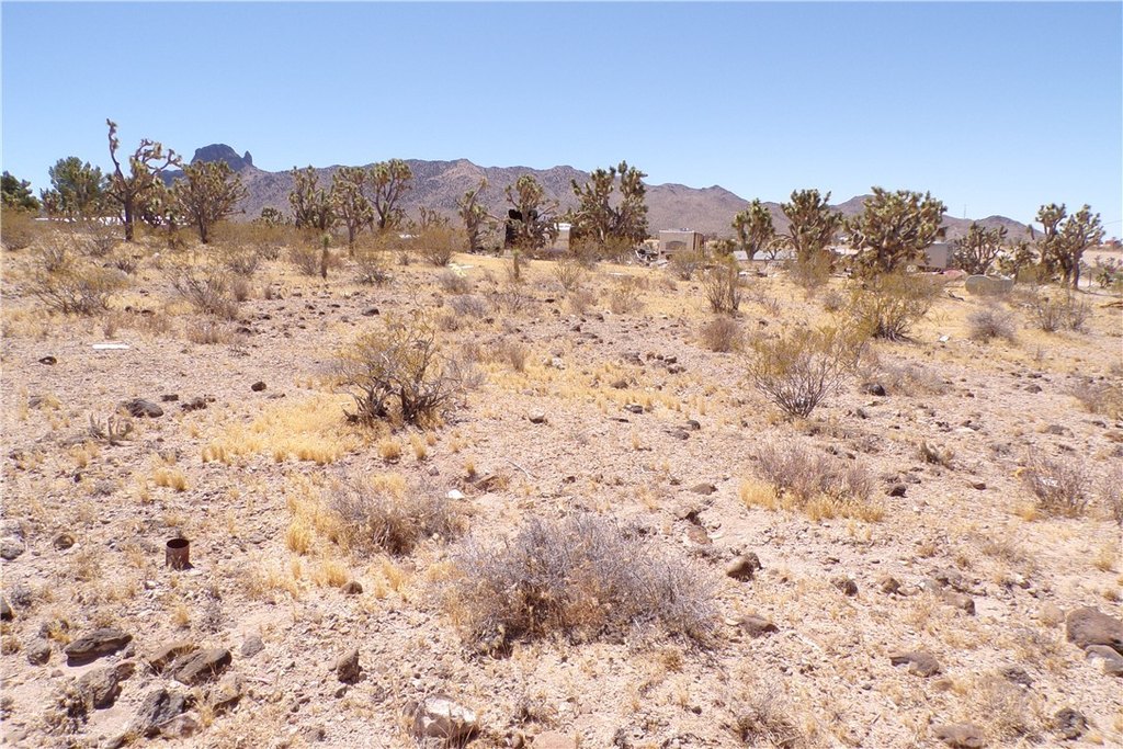 Picture 20