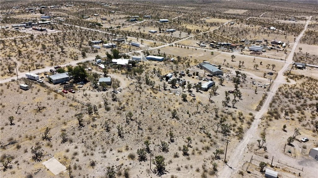 Picture 39
