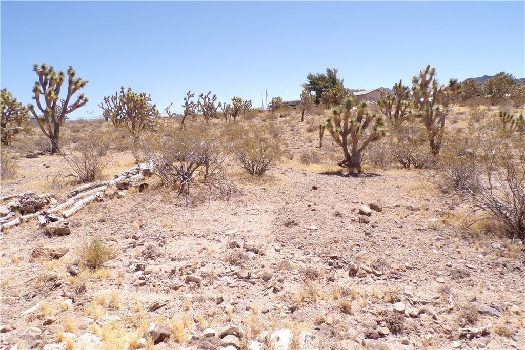 Picture 7