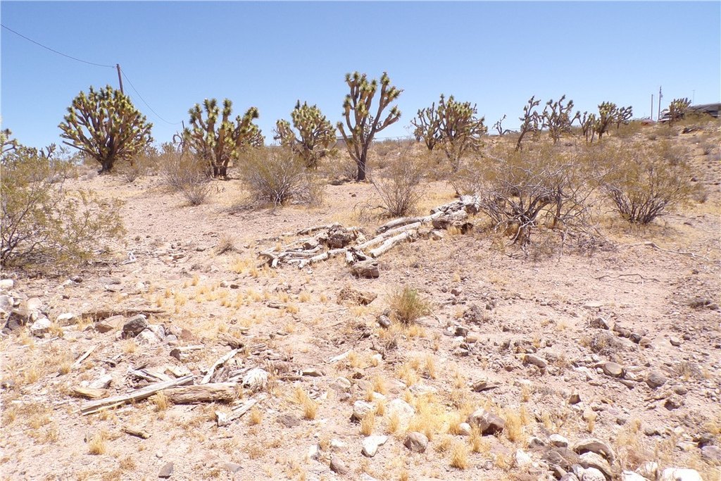 Picture 8