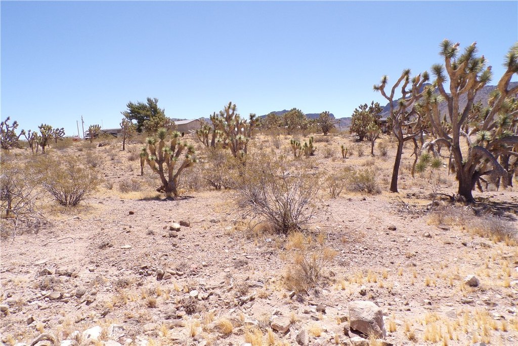 Picture 6