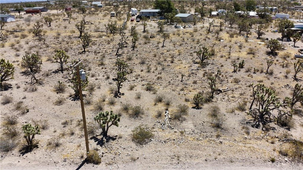 Picture 30
