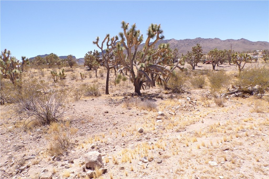 Picture 5