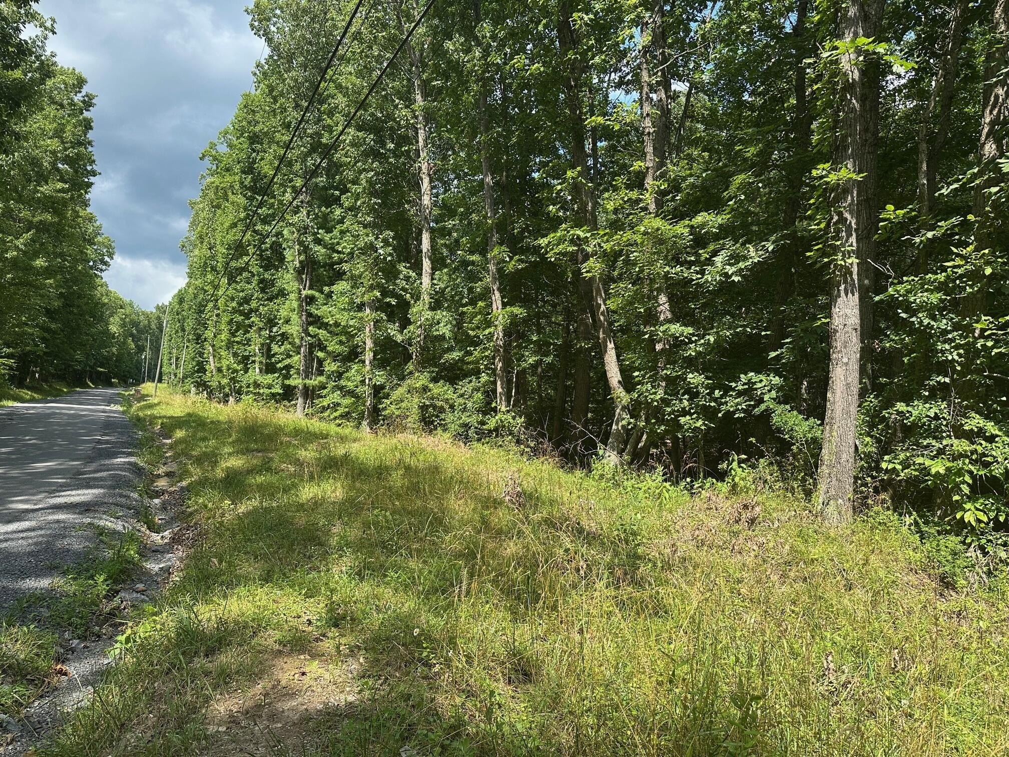 Wooded Land in Alderson, WV