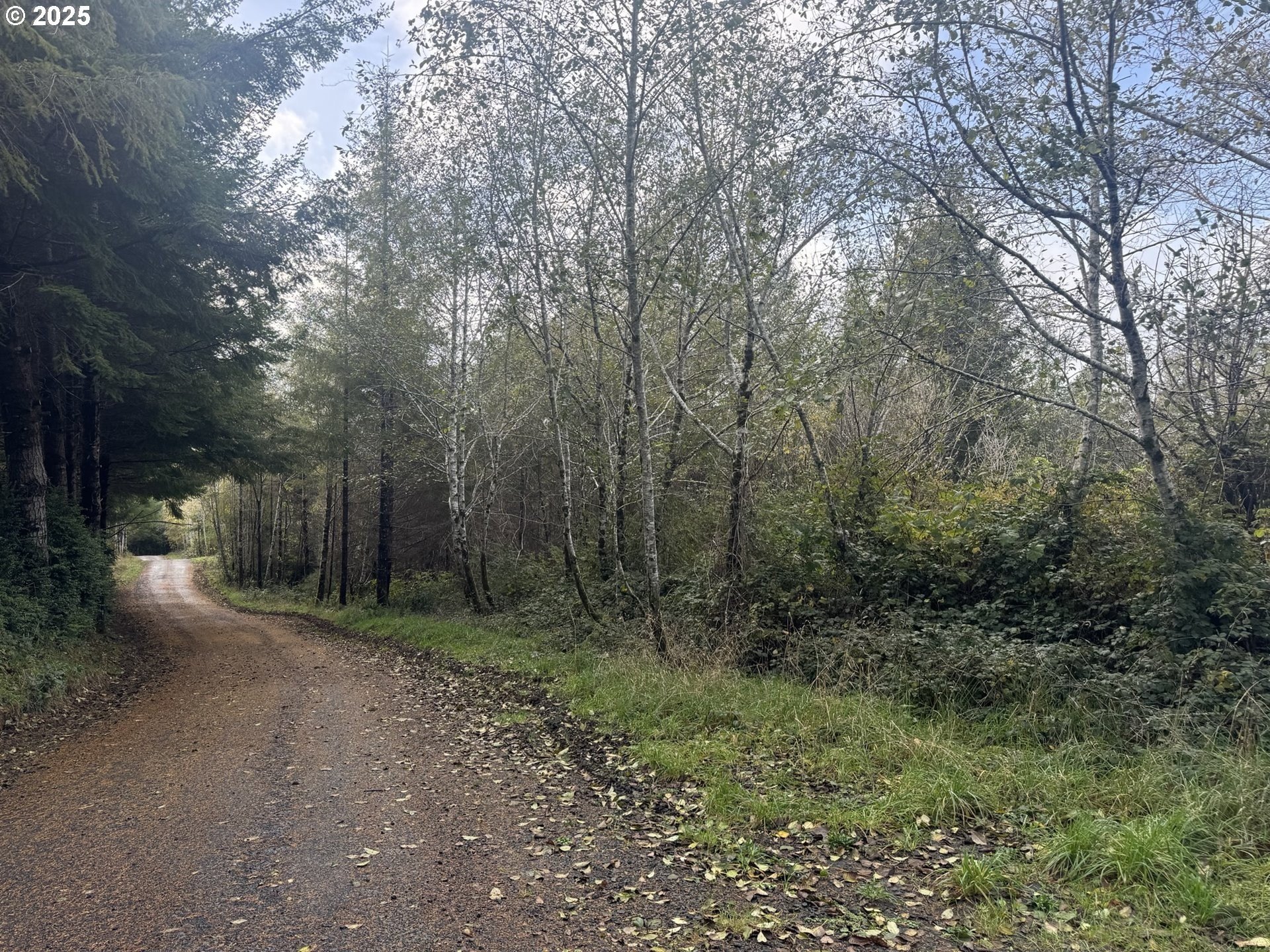 Lakeside Treed Land For Sale