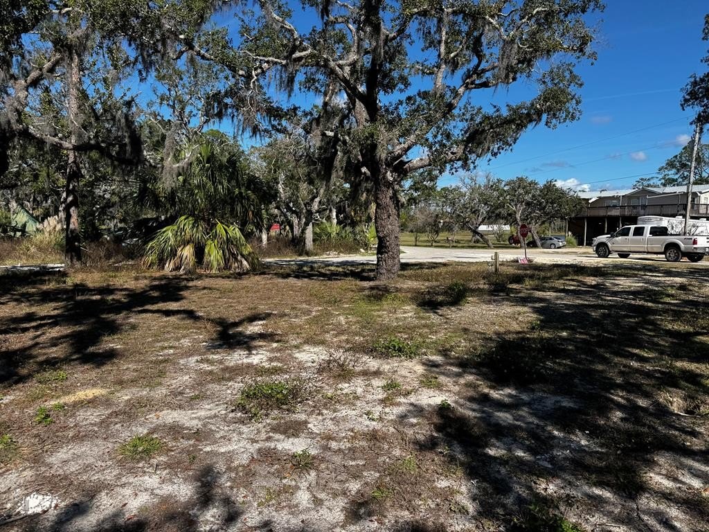 Picture 2