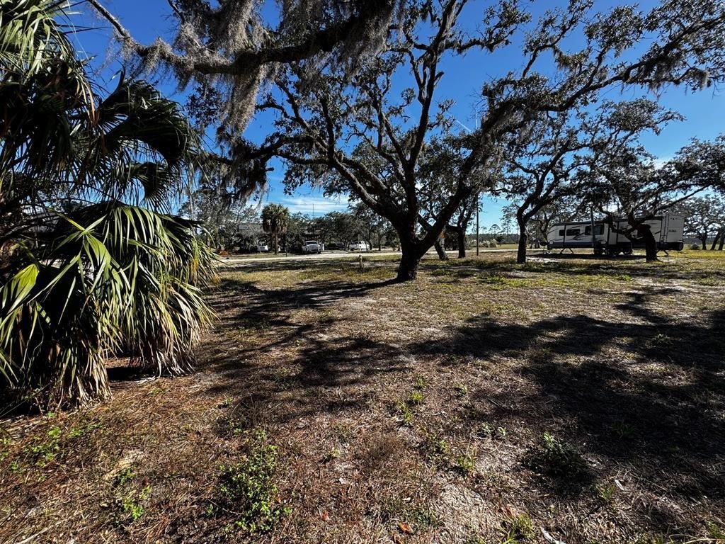 Coastal Building/RV Lot Near Steinhatchee