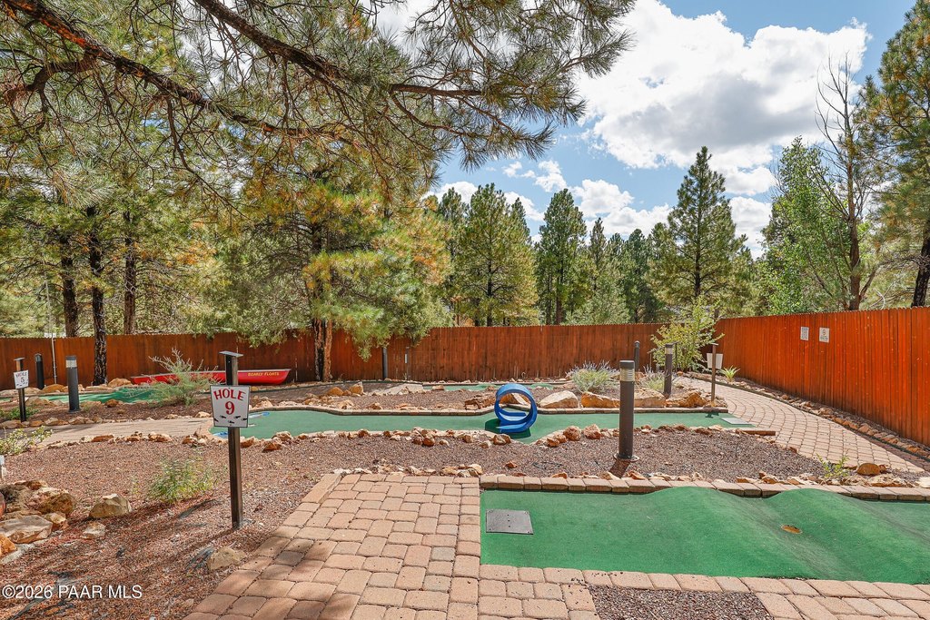 Picture 46