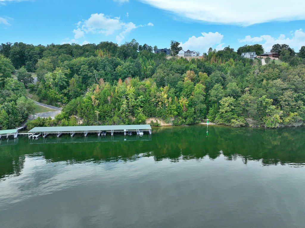 Picture 47