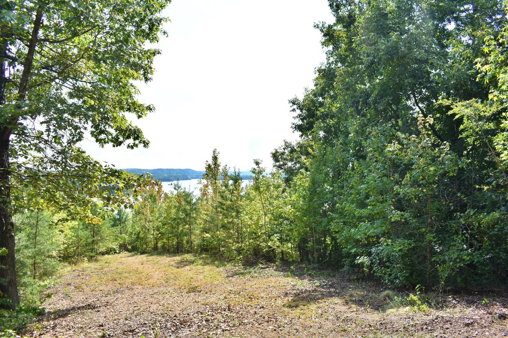 Picture 17