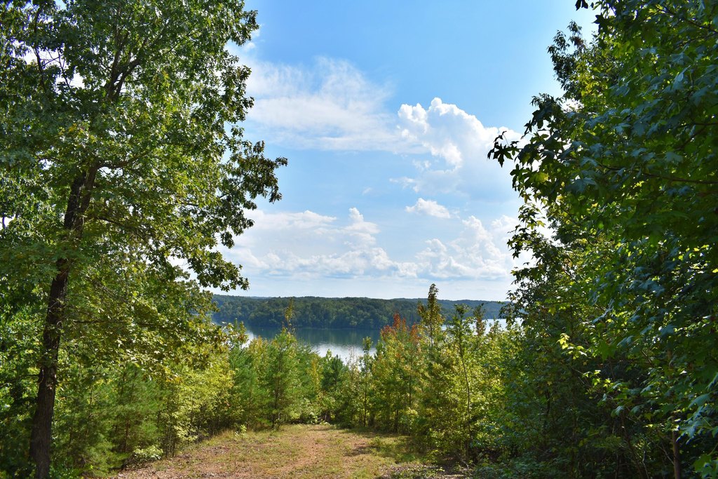 Picture 22