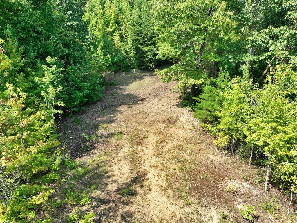 Picture 36